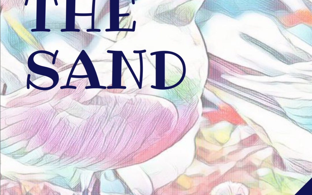 Life in the Sand: Field Guide to Sandy Shores