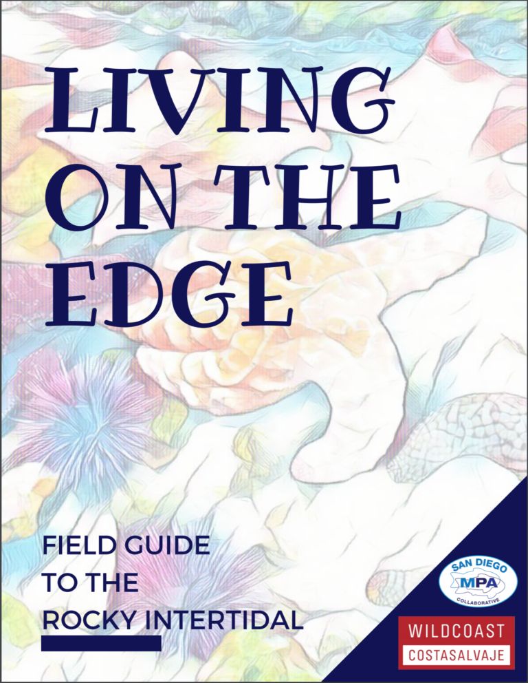 Living on the Edge: Field Guide to the Rocky Intertidal