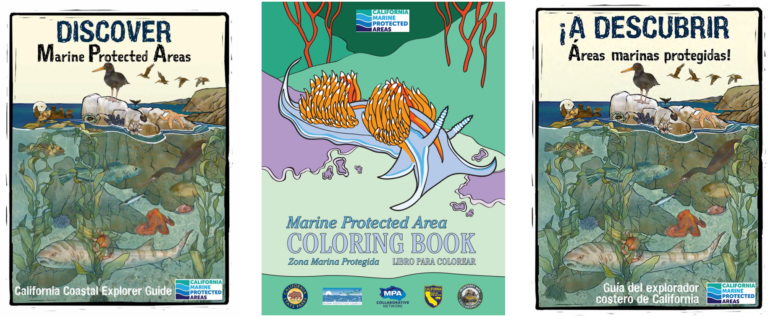 Blending Tradition and Tech – A Monterey and San Luis Obispo MPA Collaborative Project