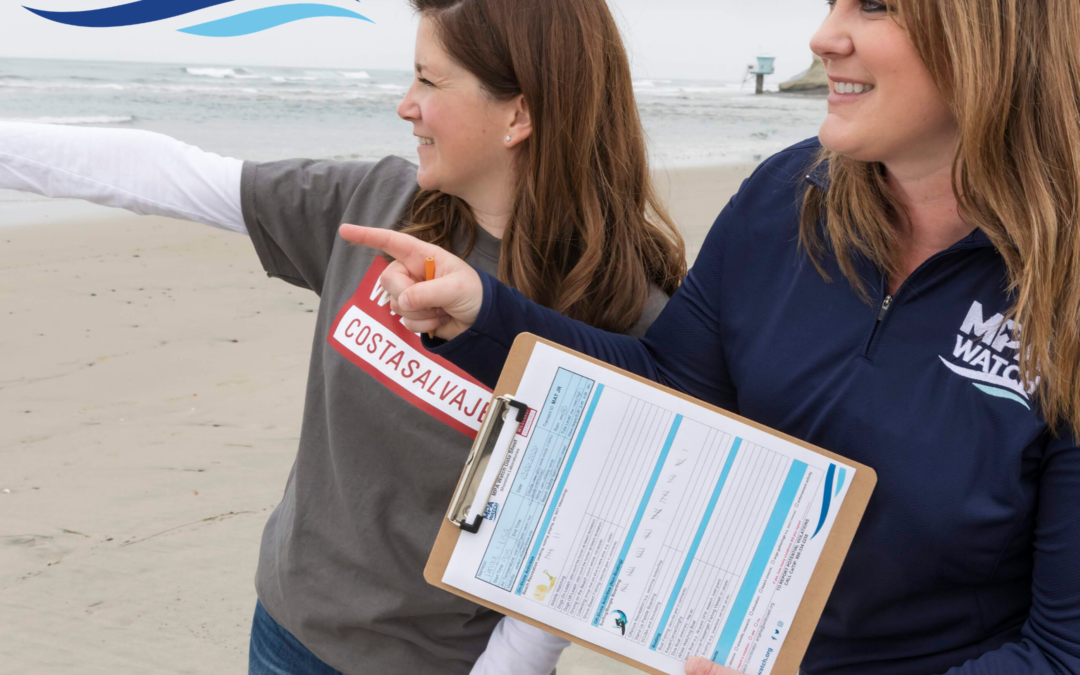 MPA Watch: Summarizing 10 Years of Human Use Data