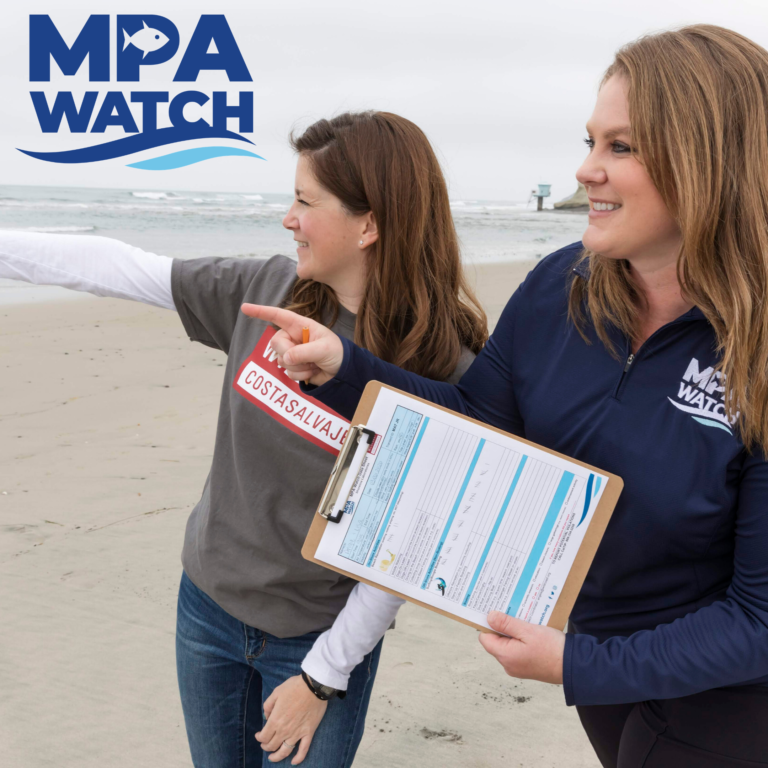 MPA Watch: Summarizing 10 Years of Human Use Data