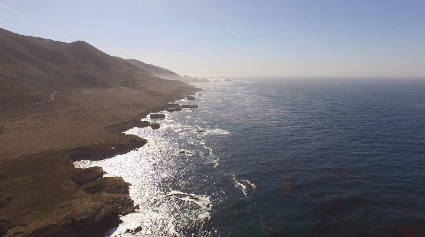 San Luis Obispo: Morro Bay Estuary and Pt. Buchon