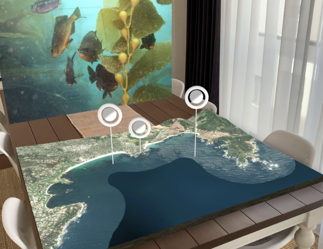 Xplore: Dive into Point Lobos (Android)