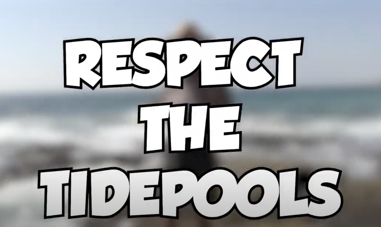 Respect the Tidepools!