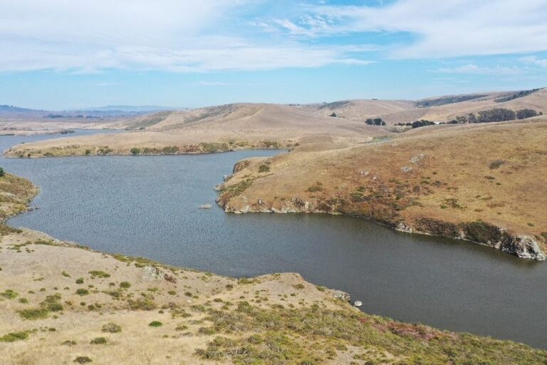 Join our Estuary Working Group!