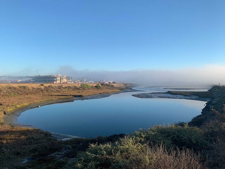 San Diego Coastal Marshes May Become Important Tools to Battle Climate Change
