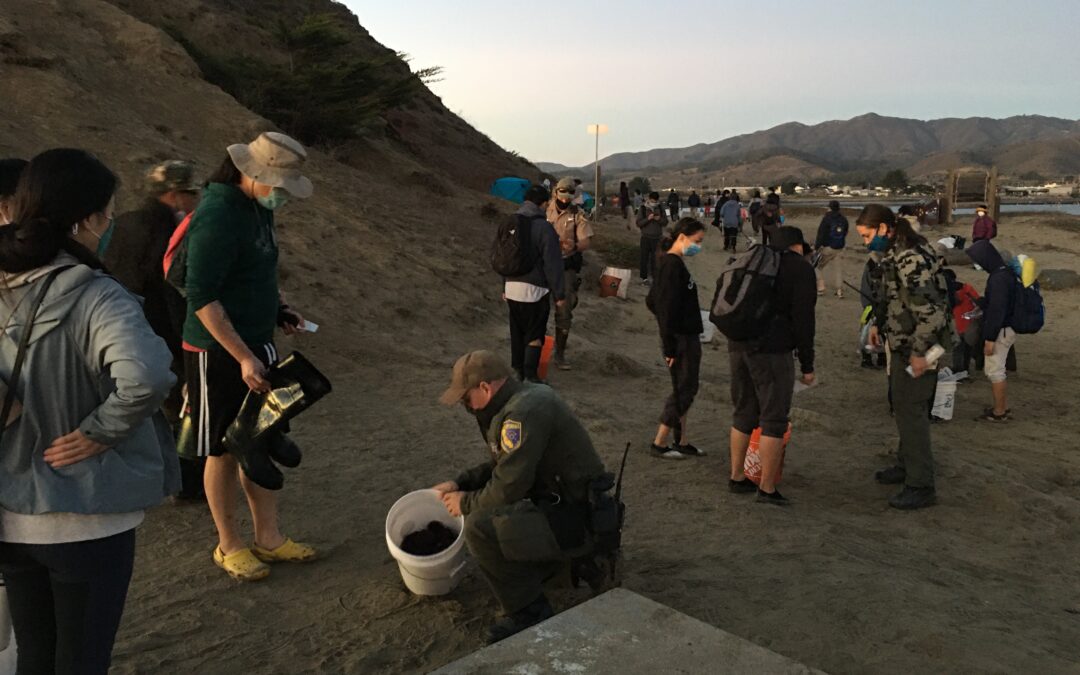 MPA Collaboratives partner with California Department of Fish & Wildlife for tidepool outreach