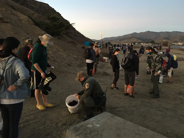 MPA Collaboratives partner with California Department of Fish & Wildlife for tidepool outreach