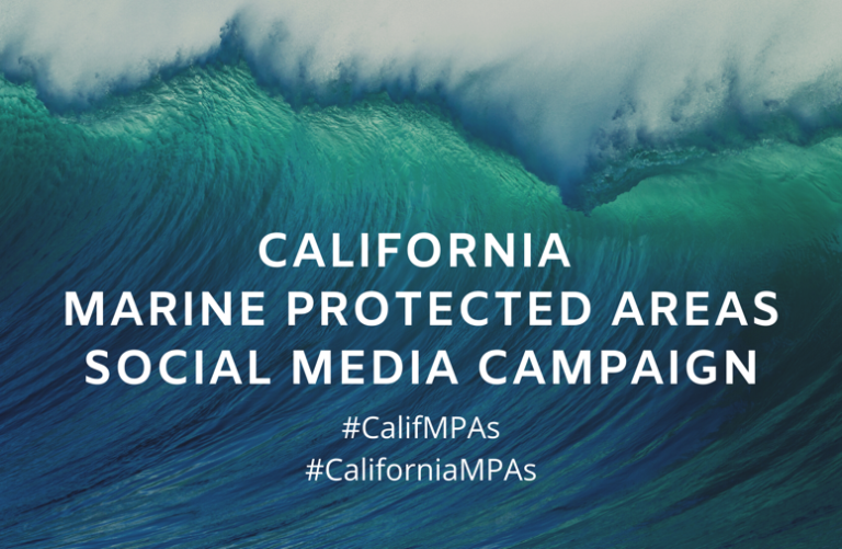 California Marine Sanctuary Foundation releases fifth content packet for the MPA Social Media Campaign