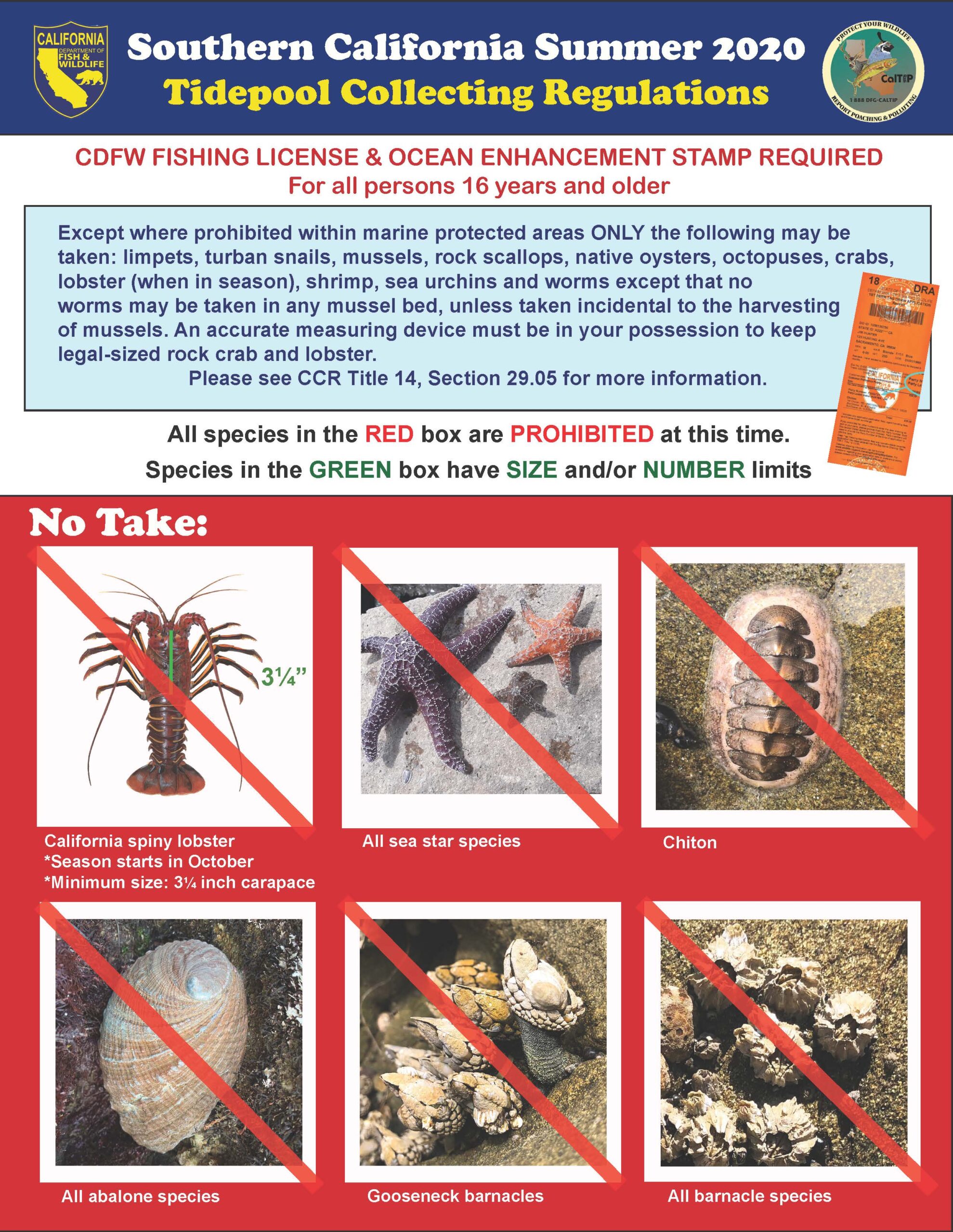 Southern California Summer 2020 Tidepool Collecting Regulations (2)_Page_1