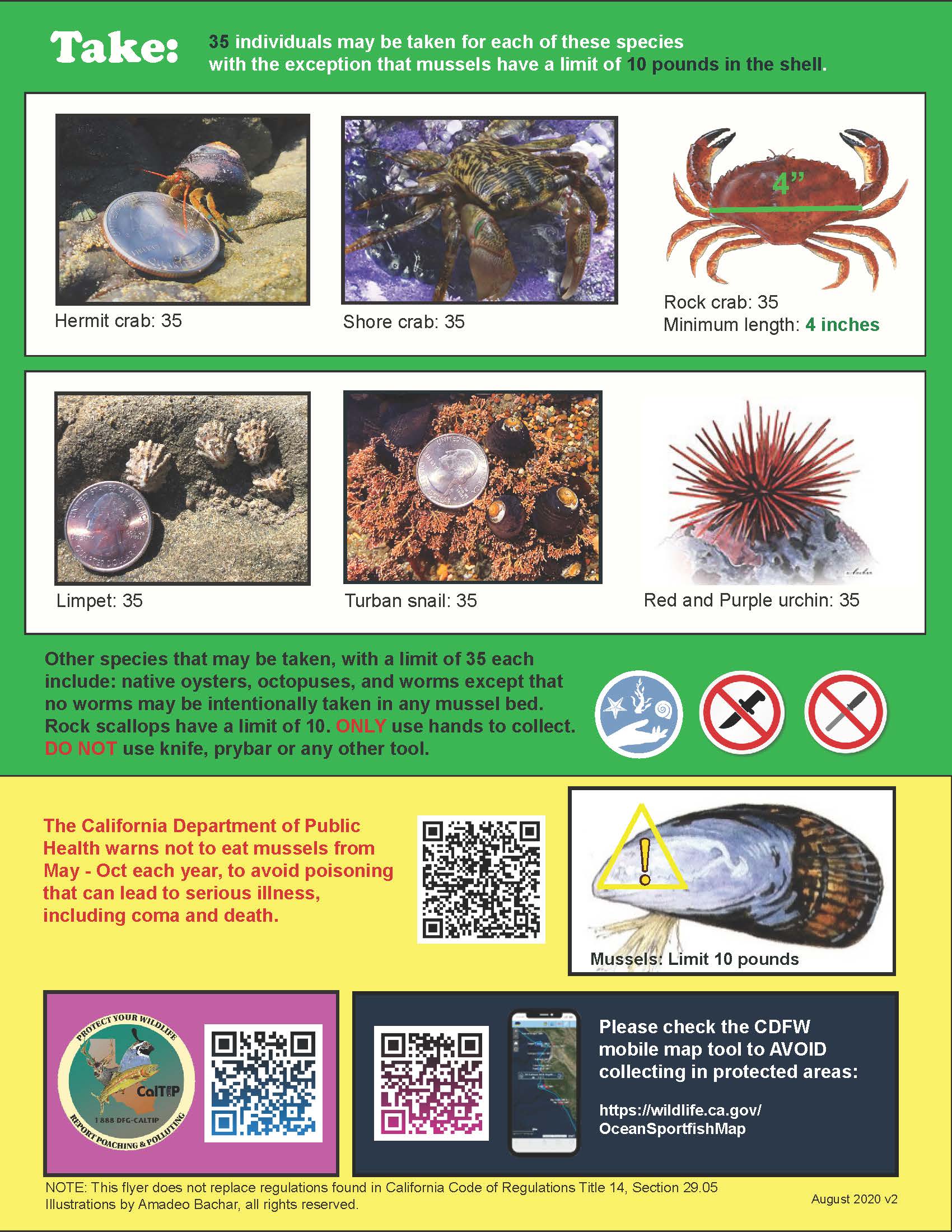 Southern California Summer 2020 Tidepool Collecting Regulations (2)_Page_2