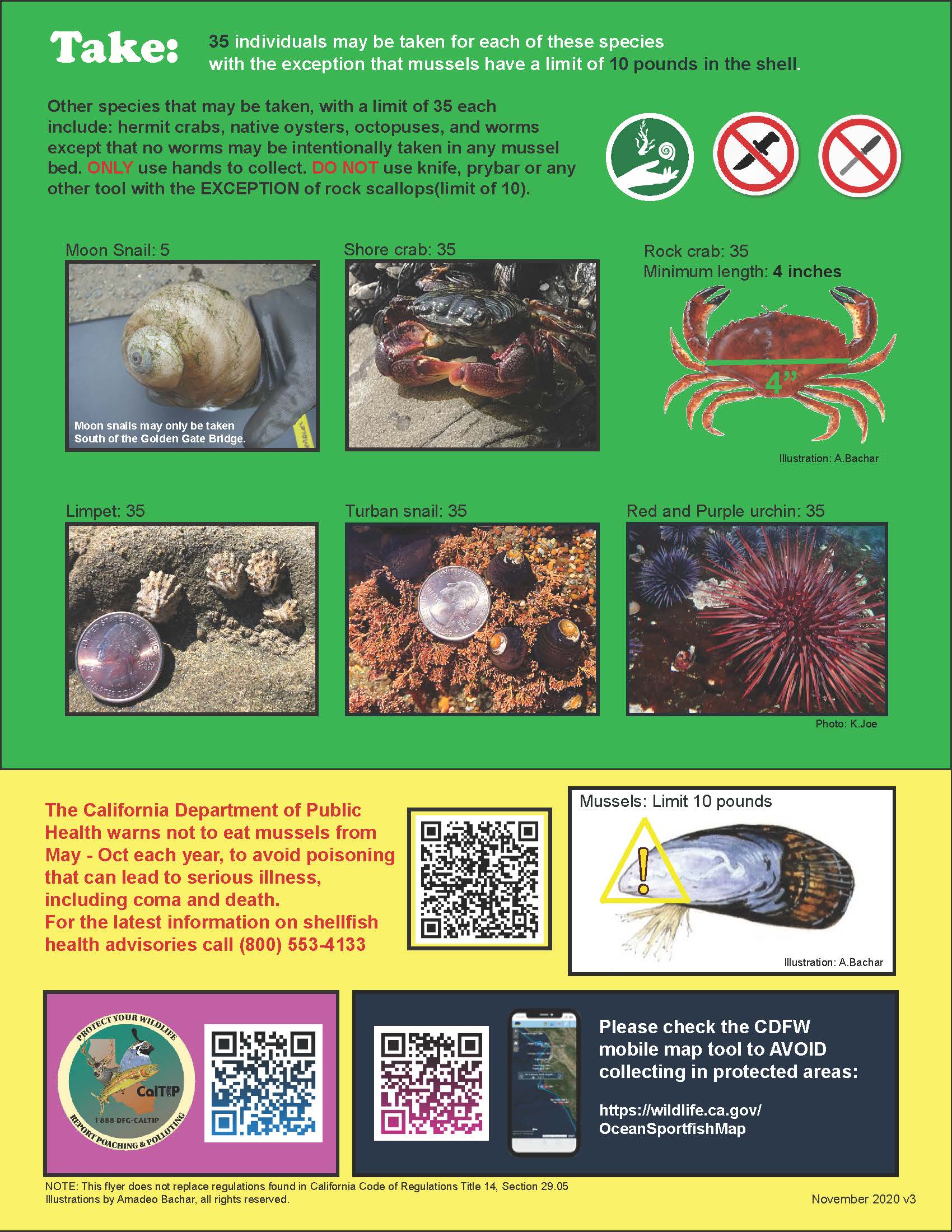 Tidepool Collecting Flyer_NorthandCentral_CDFW (2)_Page_2