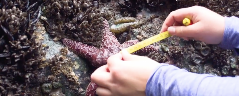 Marine Protected Areas: Research & Monitoring