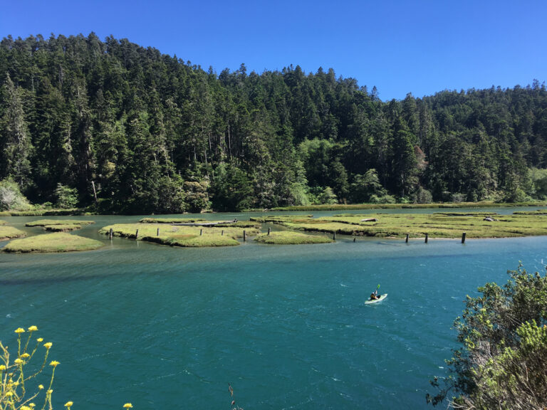 Exploring California’s Marine Protected Areas: Big River Estuary State Marine Conservation Area