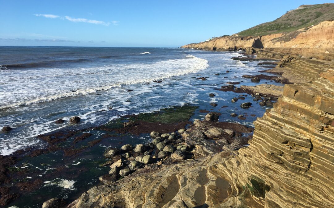 Exploring California’s Marine Protected Areas: Cabrillo State Marine Reserve