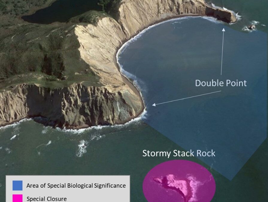 Exploring California’s Marine Protected Areas: Double Point/Stormy Stack Rock Special Closure