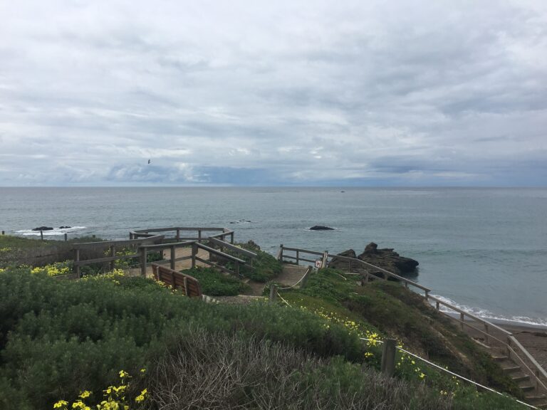 Exploring California’s Marine Protected Areas: Cambria State Marine Conservation Area