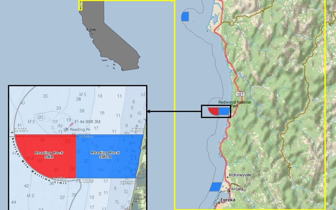 Exploring California’s Marine Protected Areas: Reading Rock State Marine Conservation Area and Reading Rock State Marine Reserve