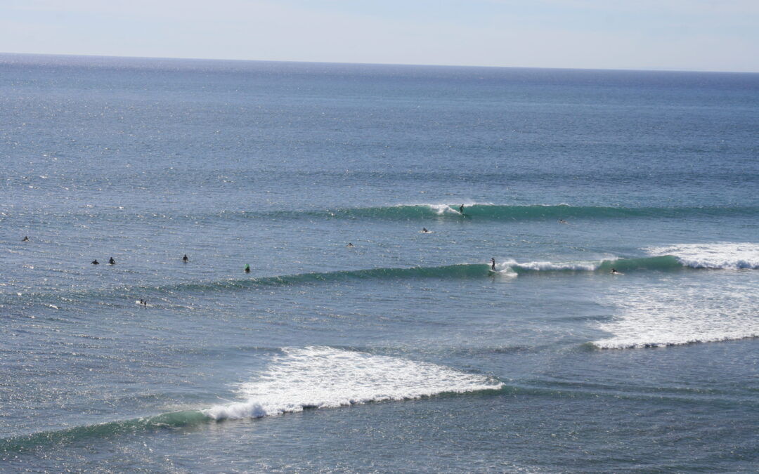 Exploring California’s Marine Protected Areas: Swami’s State Marine Conservation Area