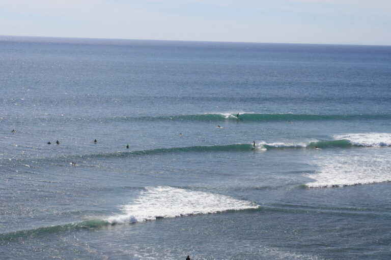 Exploring California’s Marine Protected Areas: Swami’s State Marine Conservation Area