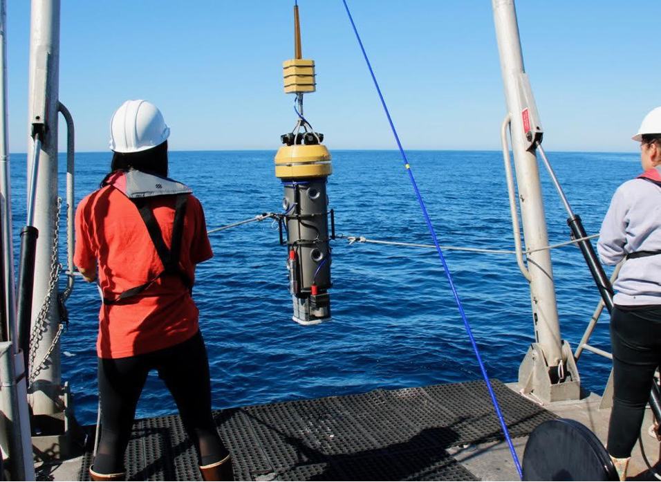 MPA update: A deep dive into the mid-depth rocky reef