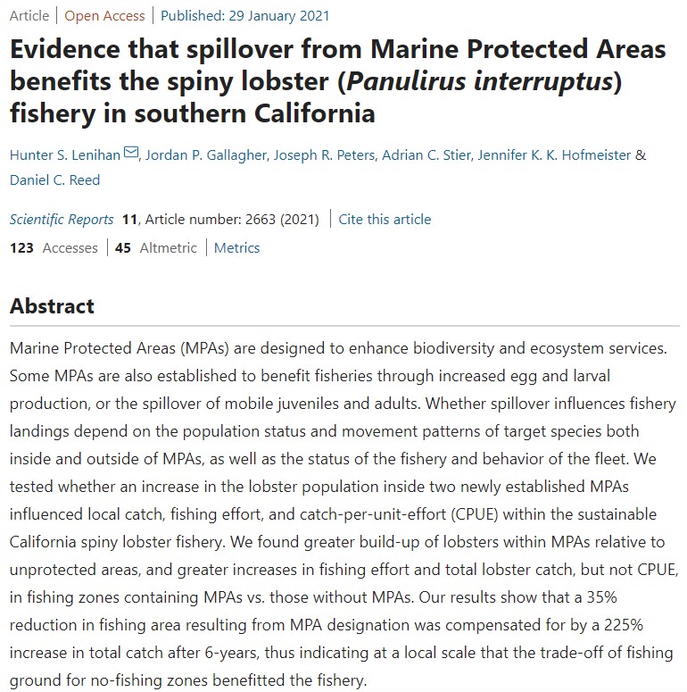 Evidence that spillover from Marine Protected Areas benefits the spiny lobster (Panulirus interruptus) fishery in southern California
