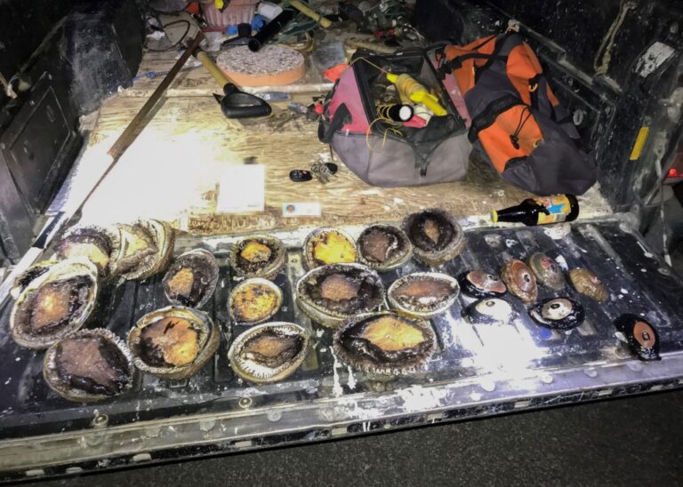 CDFW Wildlife Officer Works with Multiple Agencies to Stop Suspected Abalone Poachers in the Act