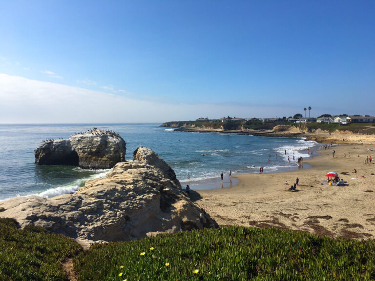 The Santa Cruz Marine Protected Area Collaborative: Partnering with Parks and More