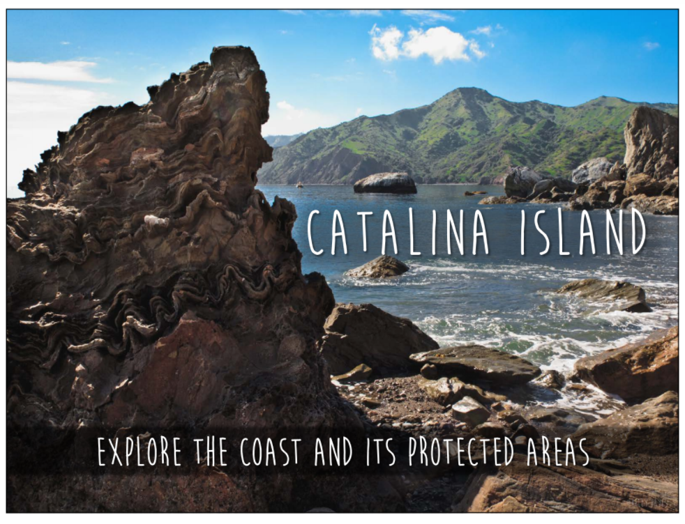 Catalina Island Ocean Recreation Guide