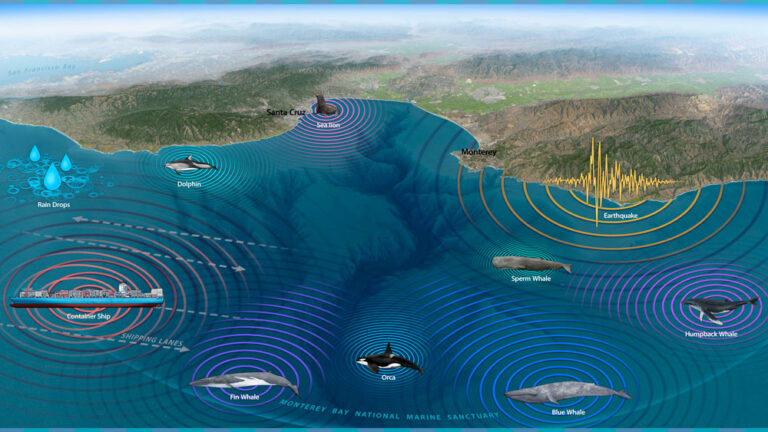 Understanding Underwater Noise in Monterey Bay National Marine Sanctuary