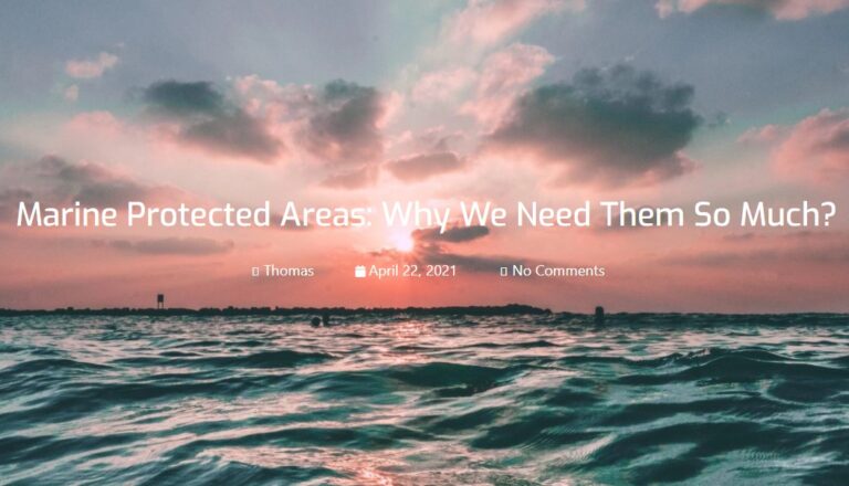 Marine Protected Areas: Why We Need Them So Much?