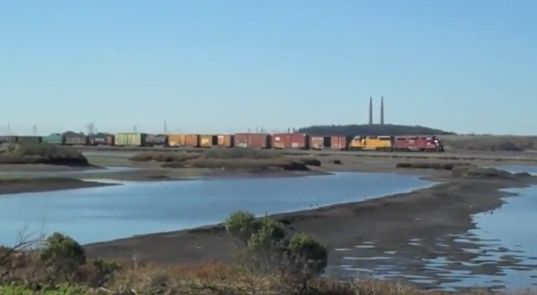 Elkhorn Slough Reserve Open House