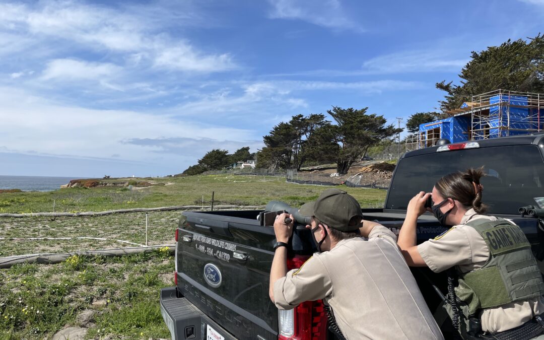 MPA Compliance Initiative Update – Spring 2021