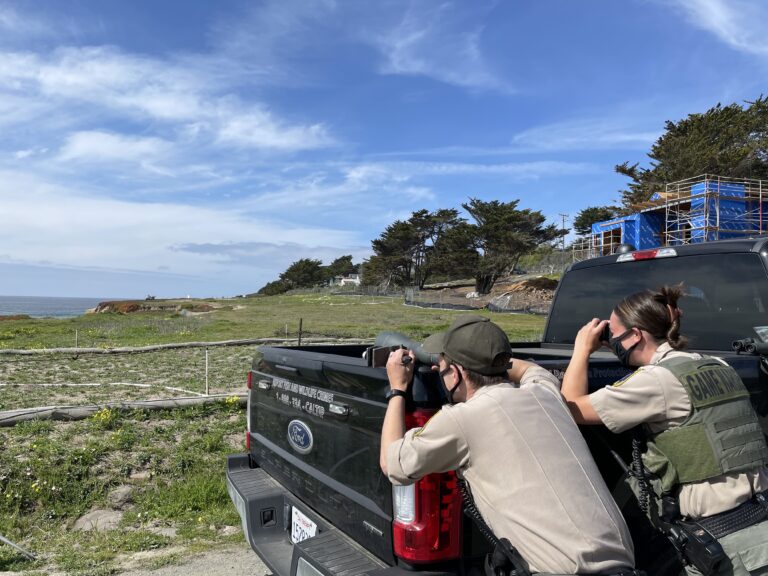 MPA Compliance Initiative Update – Spring 2021