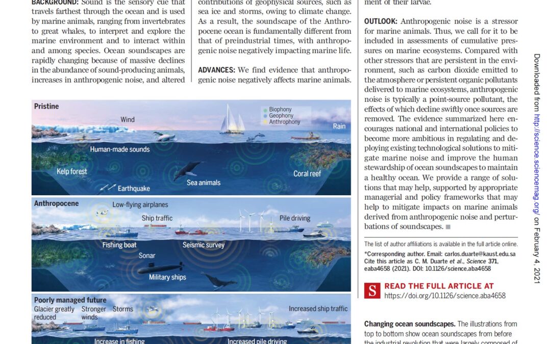 The soundscape of the Anthropocene ocean