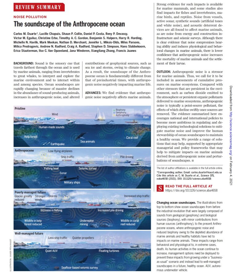The soundscape of the Anthropocene ocean