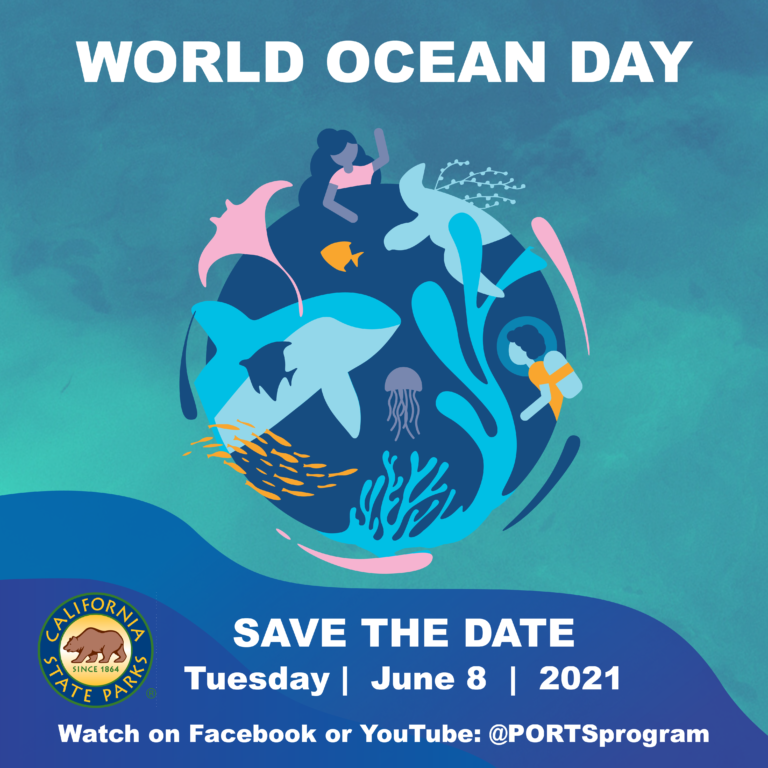 World Ocean Day with California State Parks