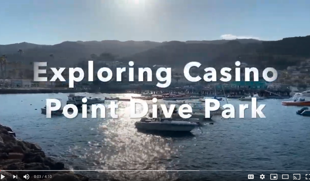 Exploring Casino Point Dive Park Video – March 2021