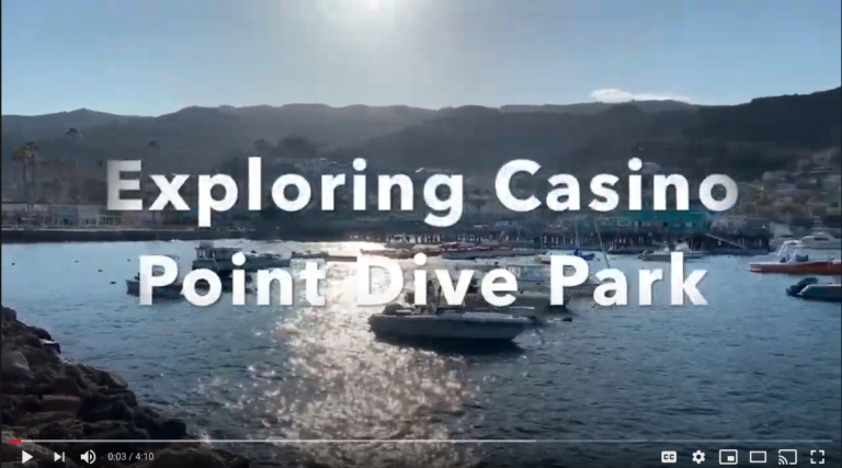 Exploring Casino Point Dive Park Video – March 2021
