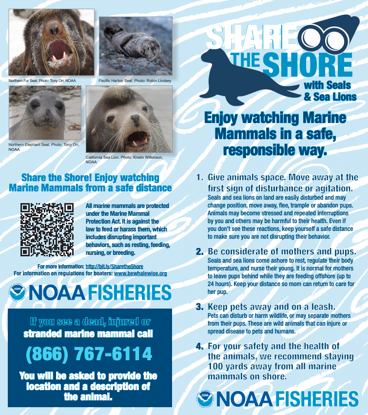 Share the Shore (Brochure)