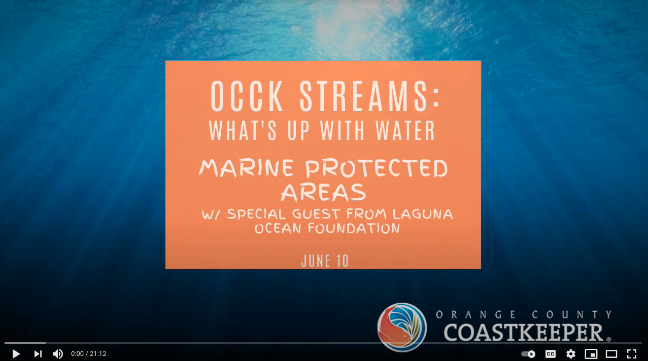 OCCK Streams: What’s up with water? – Marine Protected Areas – with special guest from Laguna Ocean Foundation