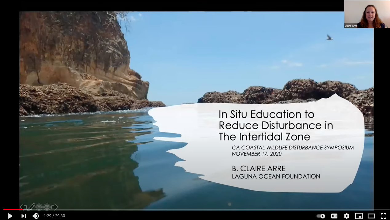 In Situ Education to Reduce Disturbance in the Intertidal Zone