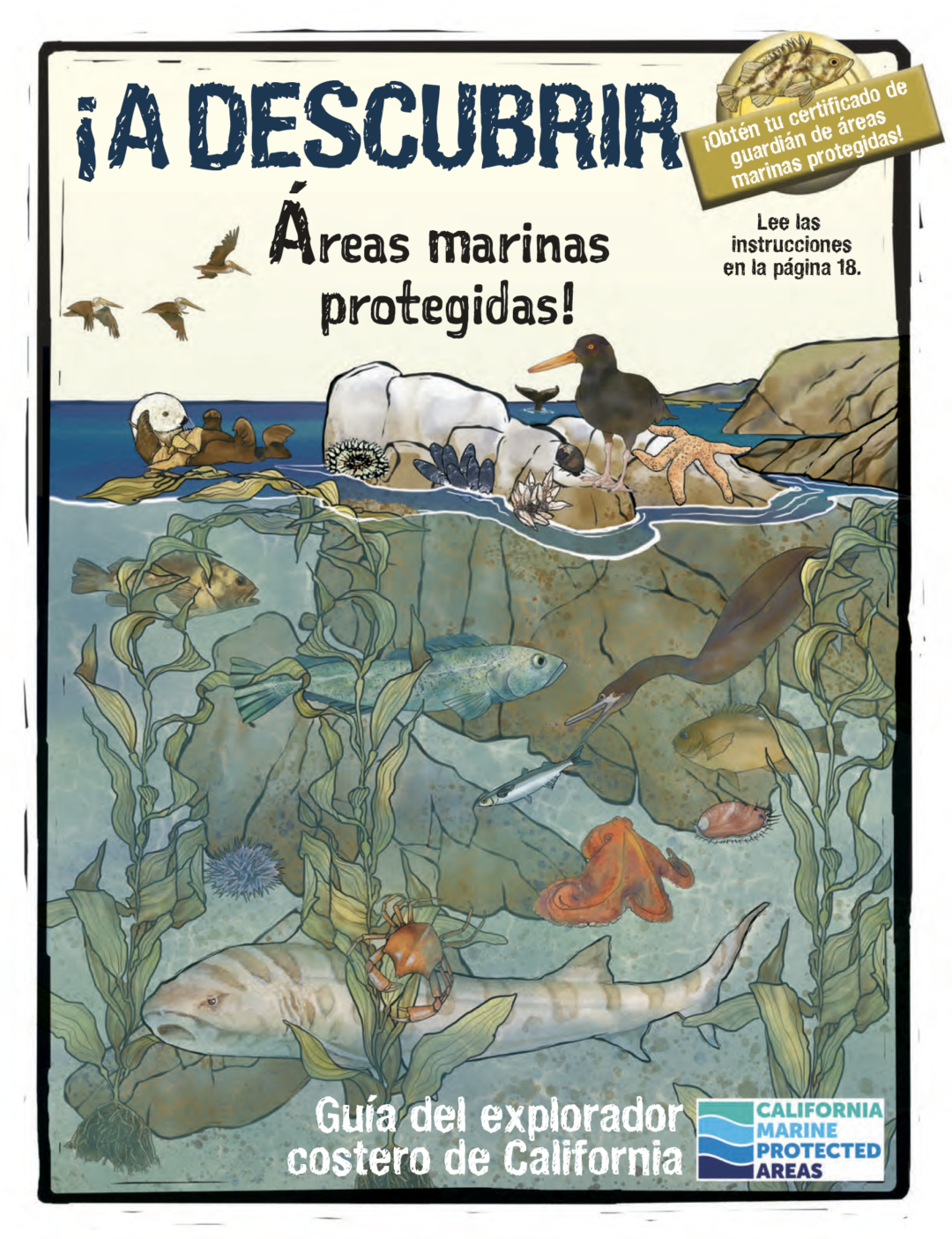 ¡A descubrir áreas marinas protegidas!, guía del explorador costero de California