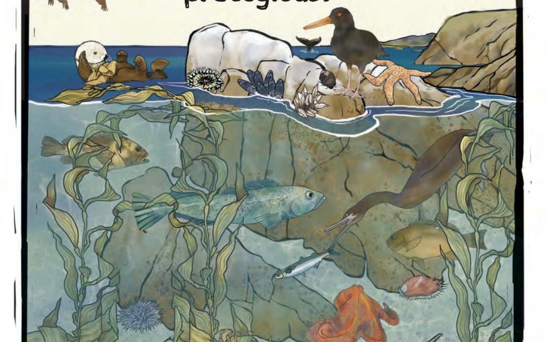 ¡A descubrir áreas marinas protegidas!, guía del explorador costero de California