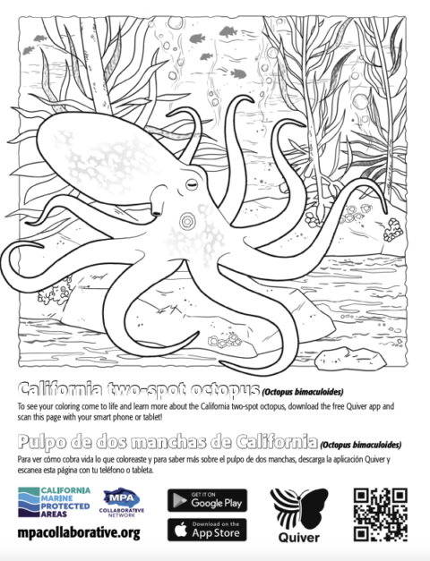QuiverVision 3D Augmented Reality MPA Coloring Page: California two