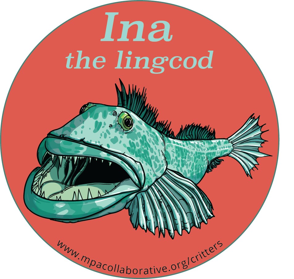 CritterSeries_Lingcod_Sticker