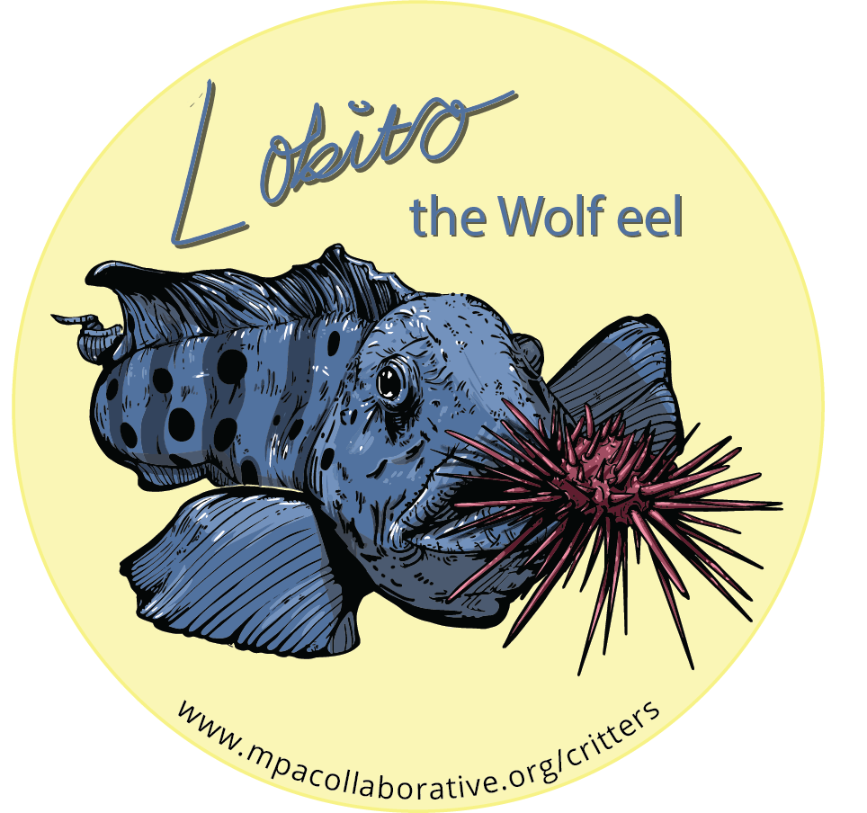 CritterSeries_Lobito_Sticker_03.26.21