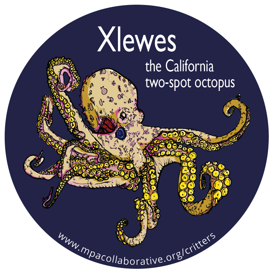 CritterSeries_Two Spot Ocotopus_Sticker_Final-01