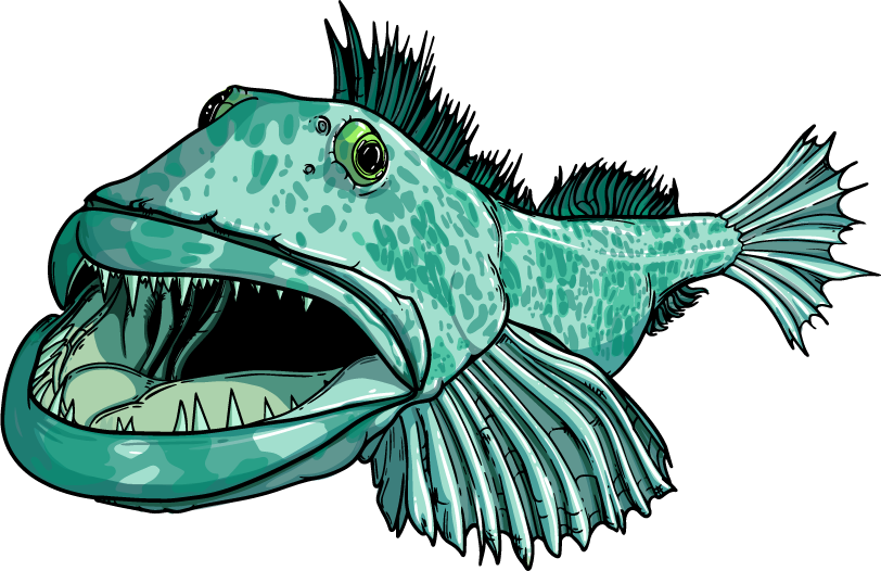 Lingcod