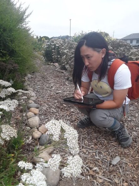 CA Biodiversity Day Bioblitz